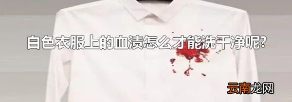 白色衣服上的血渍怎么才能洗干净呢?