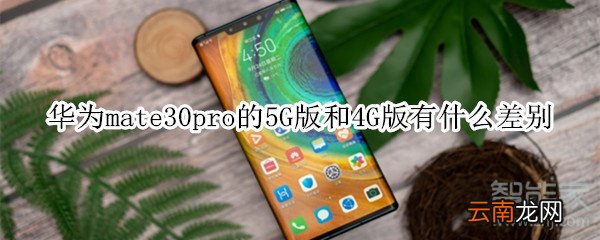 华为mate30pro的5G版和4G版有什么差别