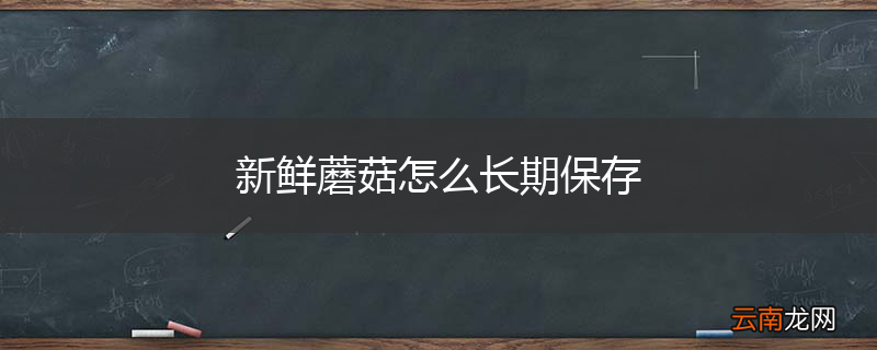 新鲜蘑菇怎么长期保存