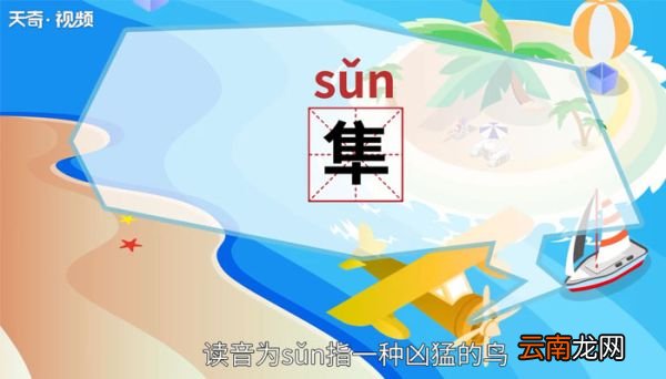 隼怎么读 隼怎么读法
