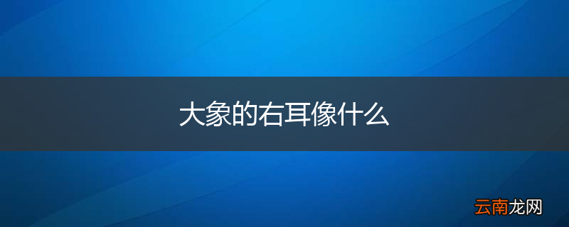 大象的右耳像什么