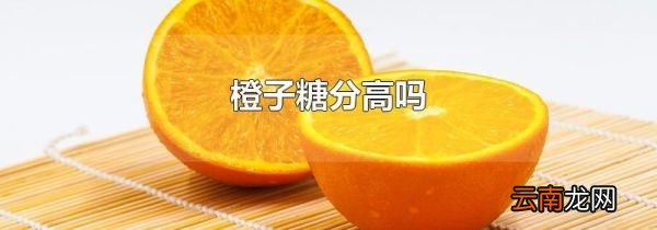 橙子糖分高吗
