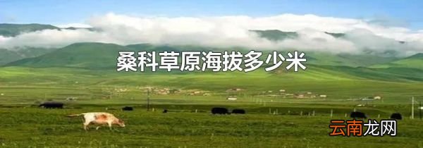 桑科草原海拔多少米