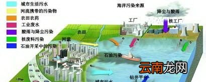 为什么说海洋的污染几乎都是人类造成的？