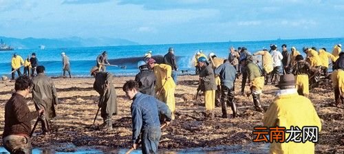 为什么说海洋的污染几乎都是人类造成的？