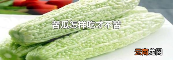 苦瓜怎样吃才不苦