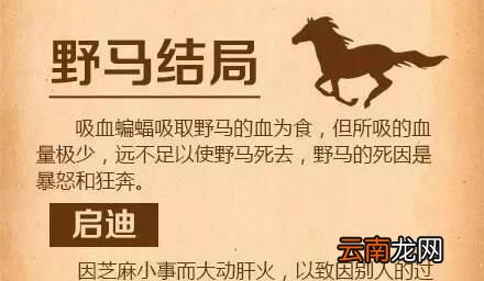 野马结局是什么？
