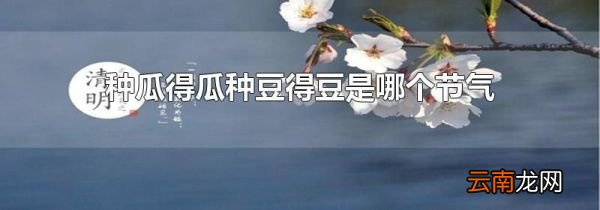 种瓜得瓜种豆得豆是哪个节气