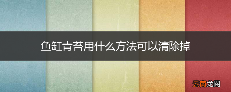 鱼缸青苔用什么方法可以清除掉