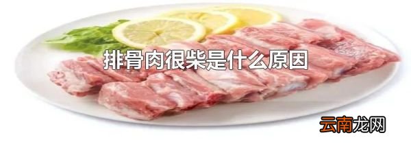排骨肉很柴是什么原因