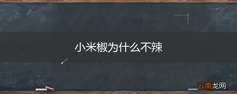 小米椒为什么不辣