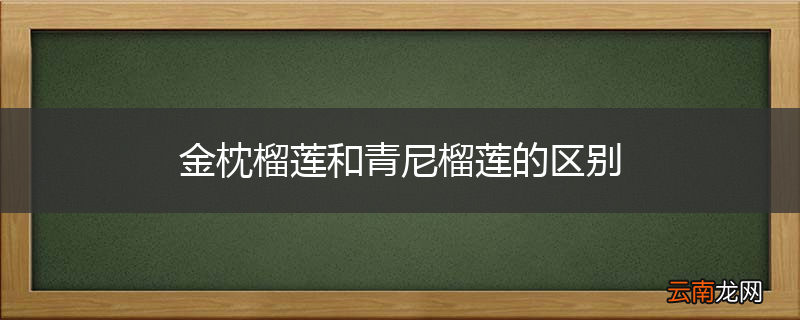金枕榴莲和青尼榴莲的区别