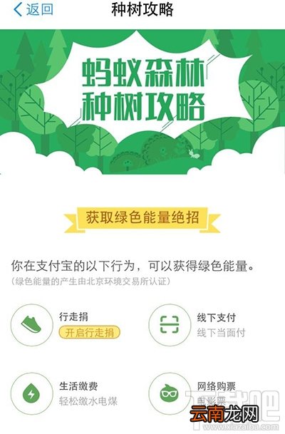 支付宝蚂蚁森林种树攻略