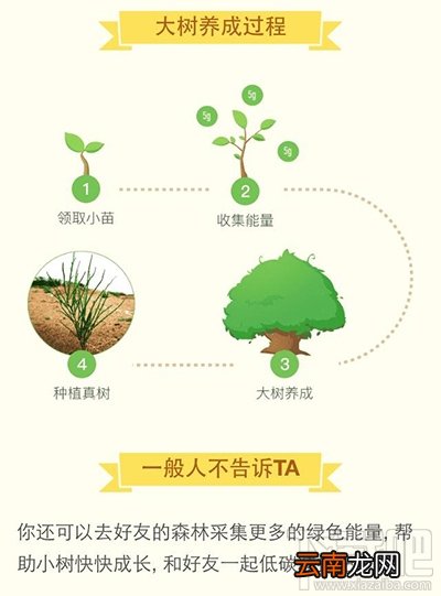 支付宝蚂蚁森林种树攻略