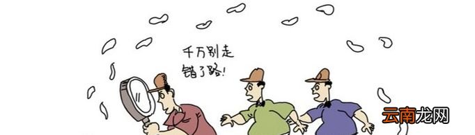 为什么把盲目跟风叫做毛毛虫效应？