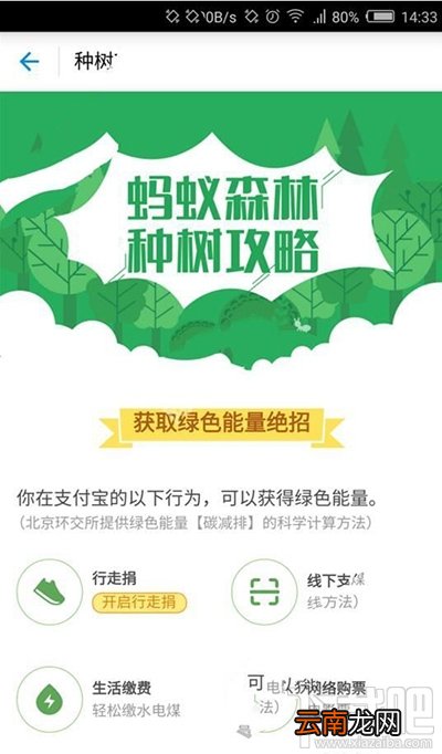 支付宝蚂蚁森林获取绿色能源方法