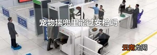 宠物揣兜里能过安检吗