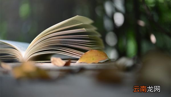 欲擒故纵是什么意思 欲擒故纵解释