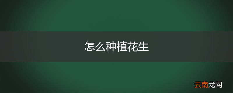 怎么种植花生