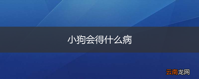 小狗会得什么病