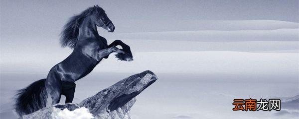 其真无马耶? 其真不是马也的其翻译 其真无马耶? 其真不是马也的其意思是