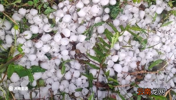 冰雹天气形成条件 冰雹天气的形成条件是什么