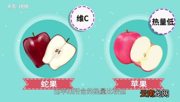 蛇果和苹果有什么区别 蛇果和普通苹果有什么区别