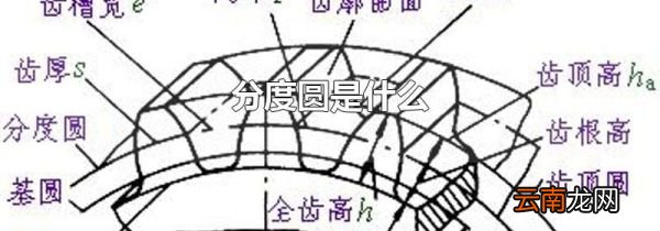 分度圆是什么
