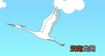 “惊弓之鸟”由什么典故而来？