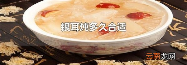 银耳炖多久合适