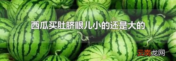 西瓜买肚脐眼儿小的还是大的