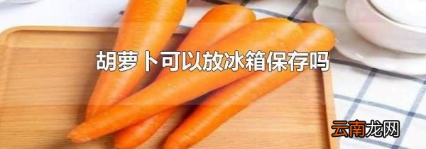 胡萝卜可以放冰箱保存吗
