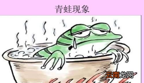青蛙现象是什么？
