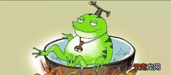 青蛙现象是什么？