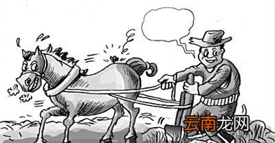马蝇效应是什么？