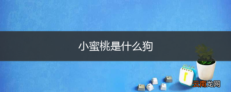 小蜜桃是什么狗
