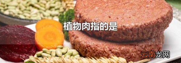 植物肉指的是