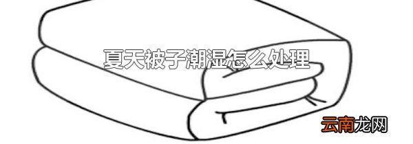 夏天被子潮湿怎么处理