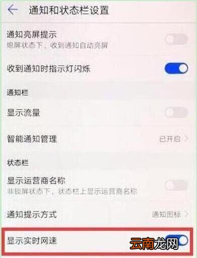 荣耀20s怎么设置显示网速