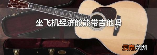坐飞机经济舱能带吉他吗