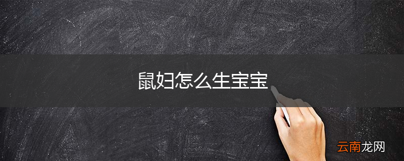鼠妇怎么生宝宝