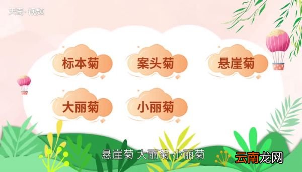 十月开什么花十月份开的花有哪些