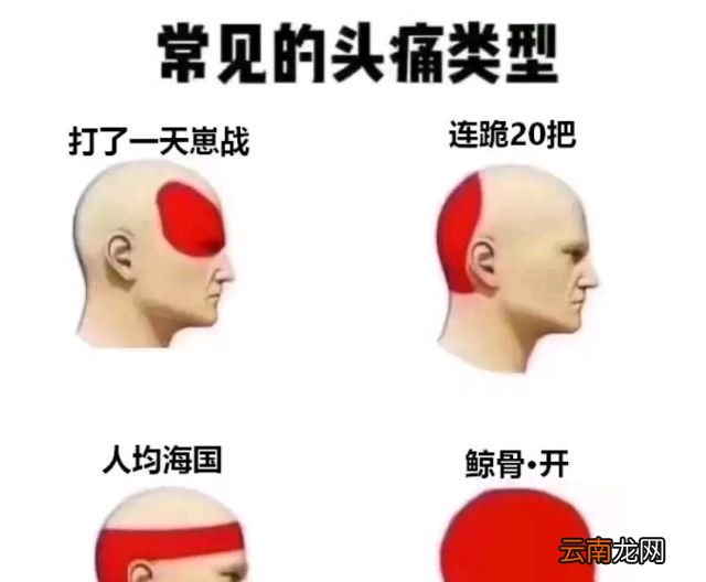 鲸骨开是什么意思？