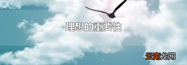 理想的重要性