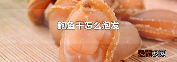 鲍鱼干怎么泡发