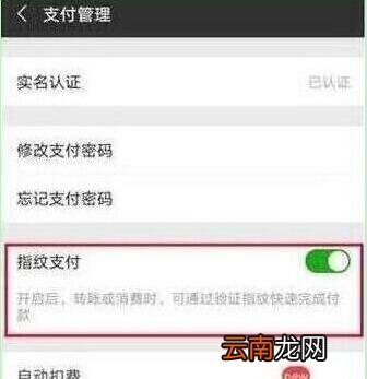 荣耀20s怎么设置微信指纹支付