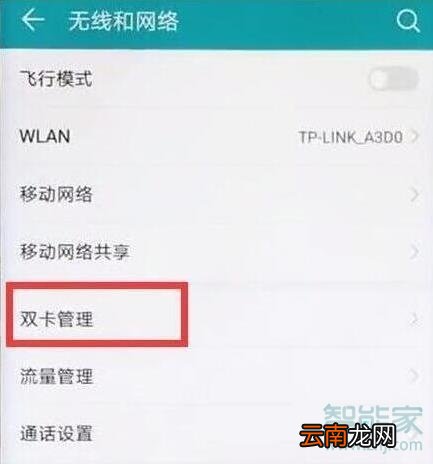 荣耀20s怎么打开双4g