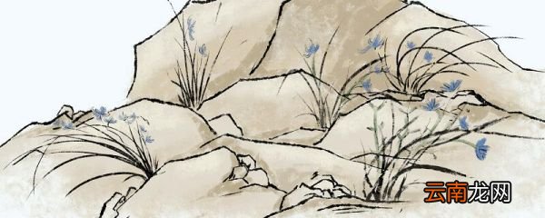 建兰的养殖方法 建兰的养殖方法是什么
