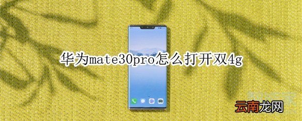 华为mate30pro怎么打开双4g