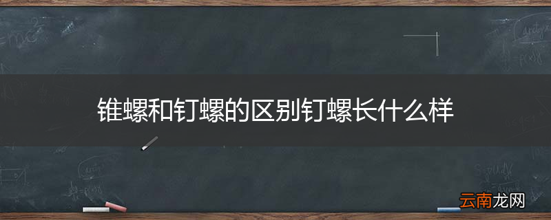 锥螺和钉螺的区别钉螺长什么样